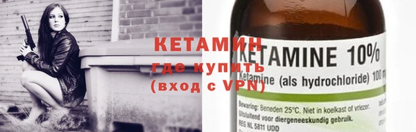 прущие грибы Бронницы