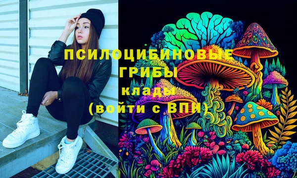 прущие грибы Бронницы