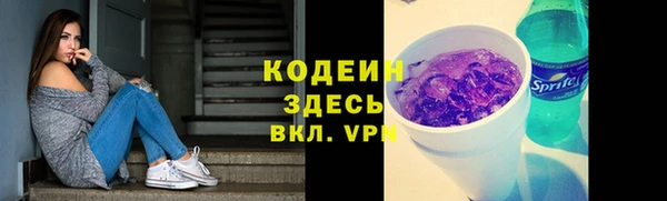 прущие грибы Бронницы