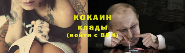 прущие грибы Бронницы