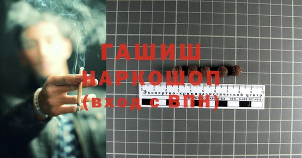 прущие грибы Бронницы