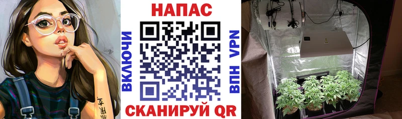 Бошки марихуана план Белоярский